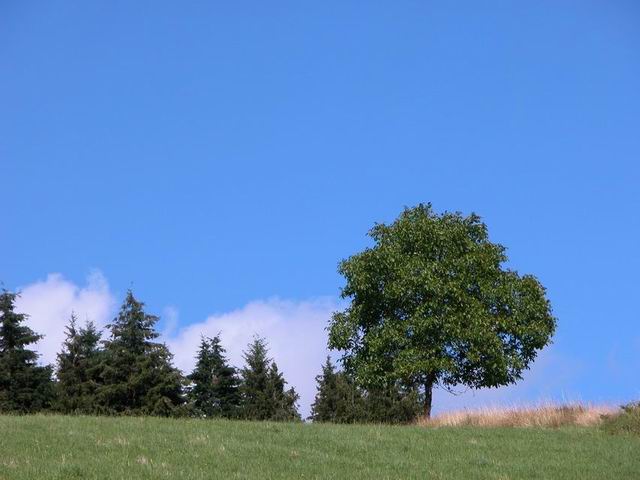 auvergne_115.jpg