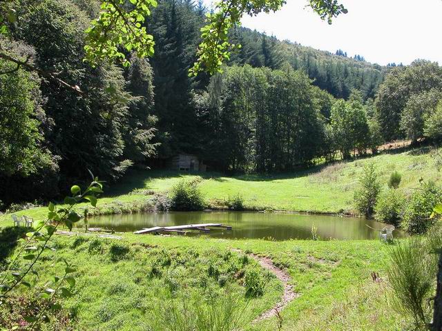 auvergne_141.jpg