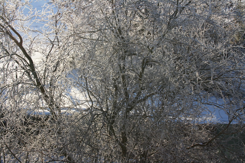 lachaux-2010-12-25.jpg