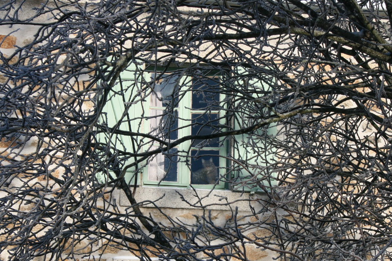 lachaux-2010-12-28.jpg