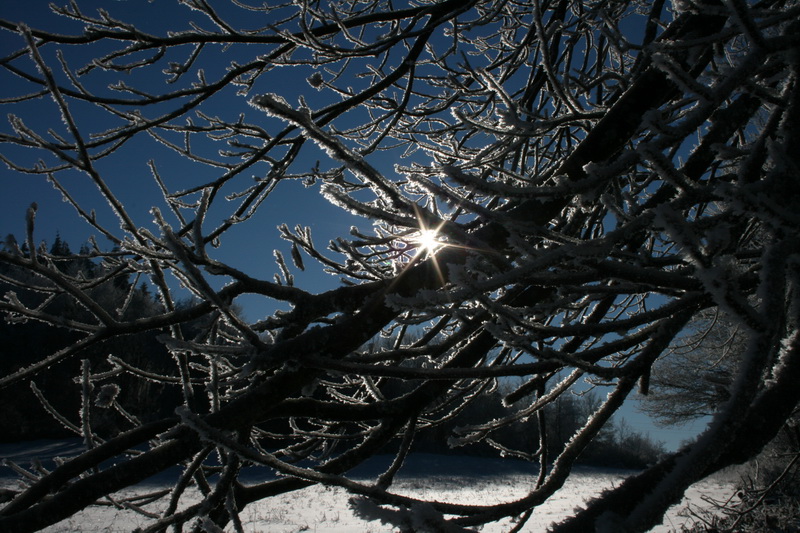 lachaux-2010-12-35.jpg
