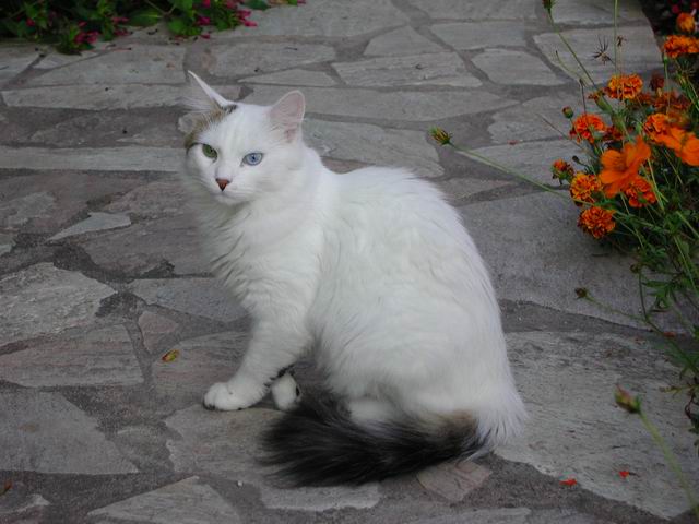 2002aout24.jpg