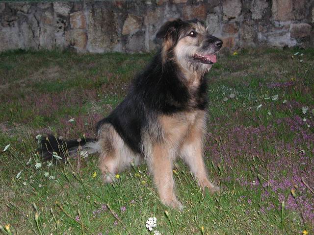 2002aout33.jpg