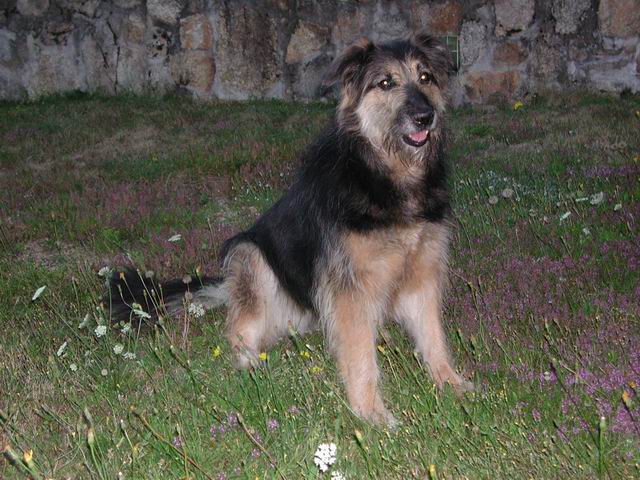 2002aout34.jpg