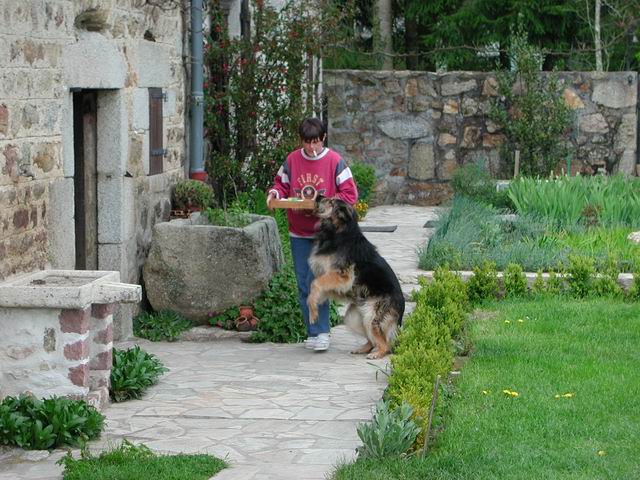 lachaux_misc0036.jpg