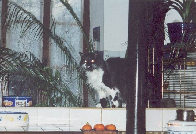 lachaux_misc0140.jpg