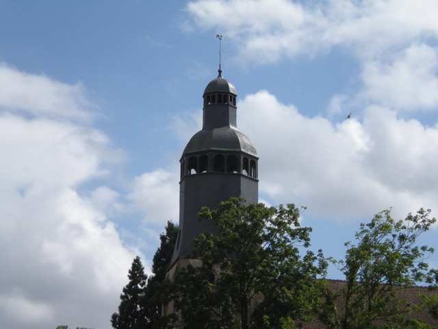 thiron016.jpg