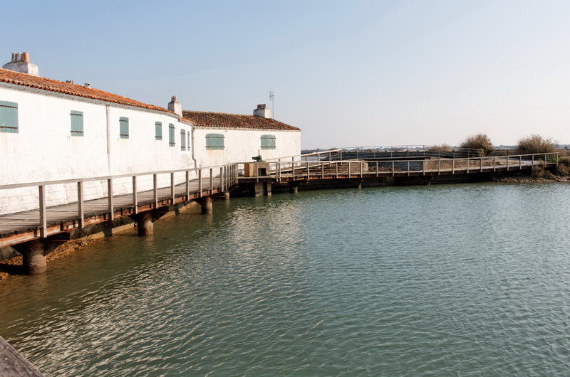 charente_maritime_2012-03-20_17-07-36.jpg