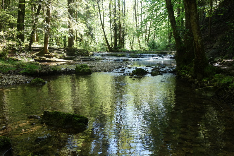 franche-comte_2018-05-07_10-57-07.jpg