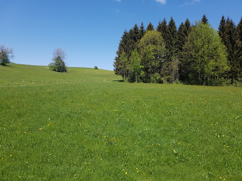 franche-comte_2018-05-11_14-08-47.jpg