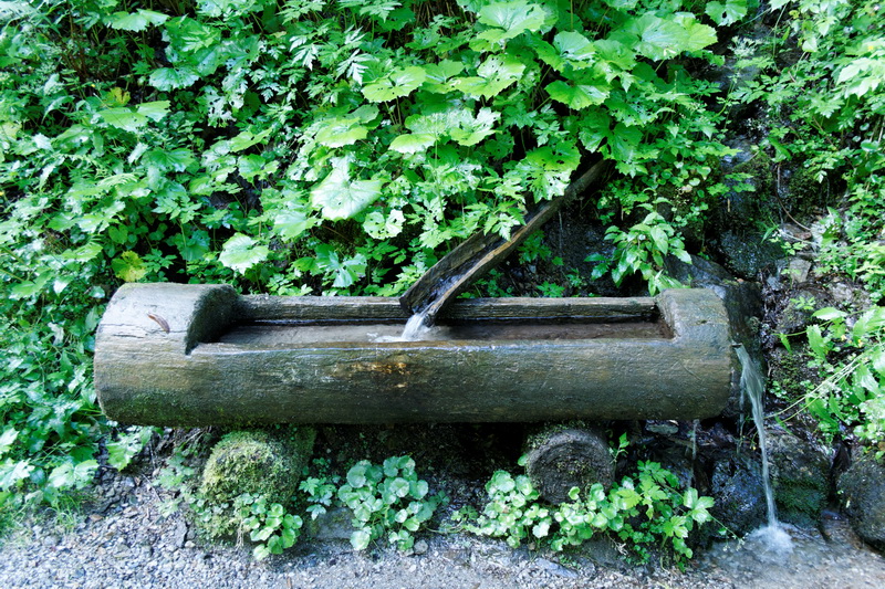 autriche-2014-07-15_10-30-30.jpg