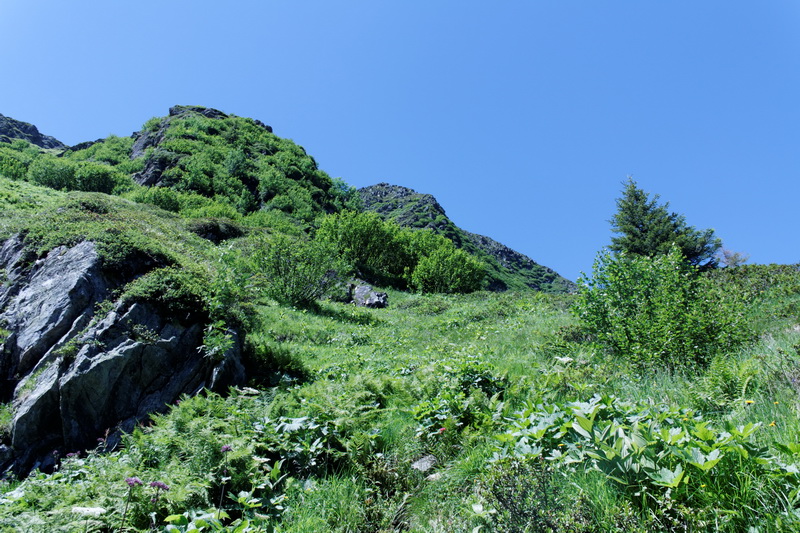 autriche-2014-07-16_12-28-10.jpg