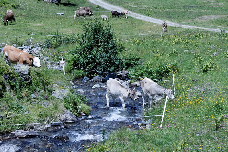 autriche-2014-07-16_13-31-37.jpg