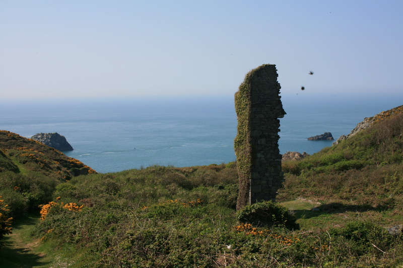 sark_053.jpg
