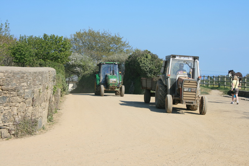 sark_095.jpg