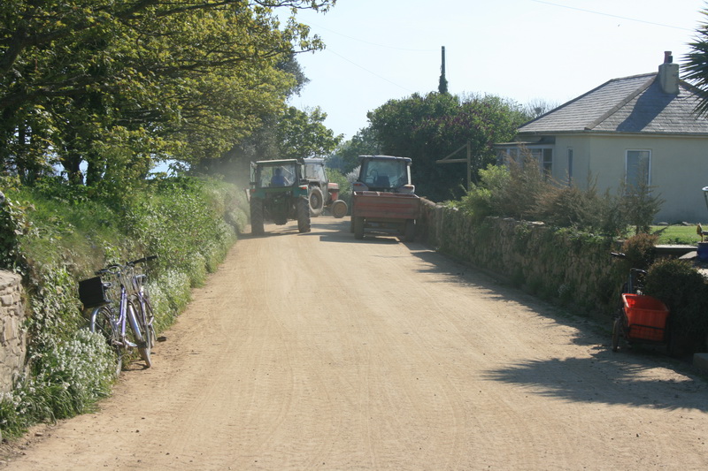 sark_097.jpg