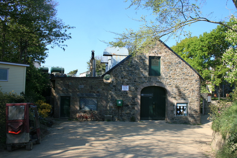 sark_100.jpg