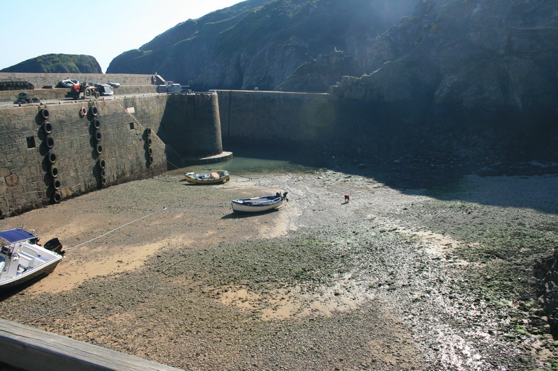 sark_107.jpg