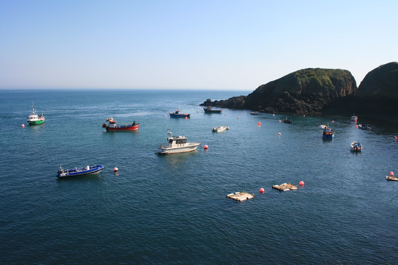 sark_111.jpg