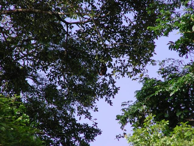 honey_moon_whiler_kaly_178.jpg