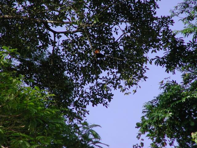 honey_moon_whiler_kaly_179.jpg