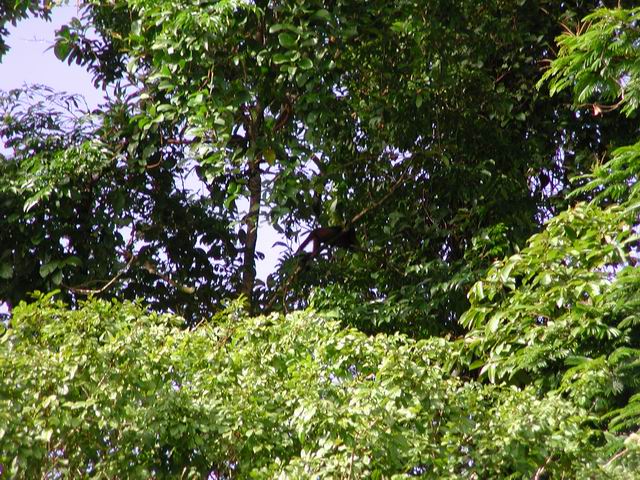 honey_moon_whiler_kaly_181.jpg