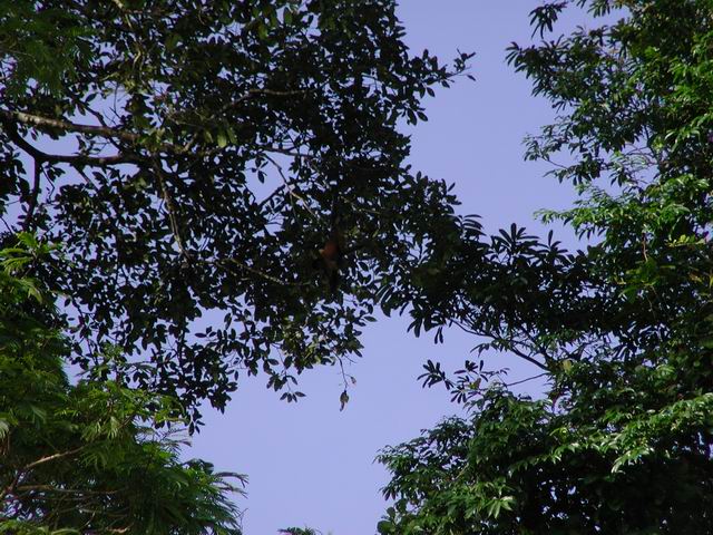 honey_moon_whiler_kaly_186.jpg