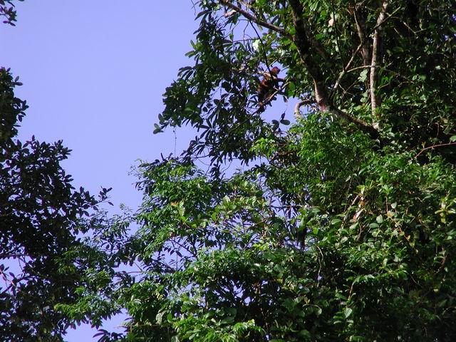 honey_moon_whiler_kaly_188.jpg