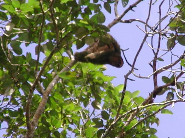 honey_moon_whiler_kaly_203.jpg