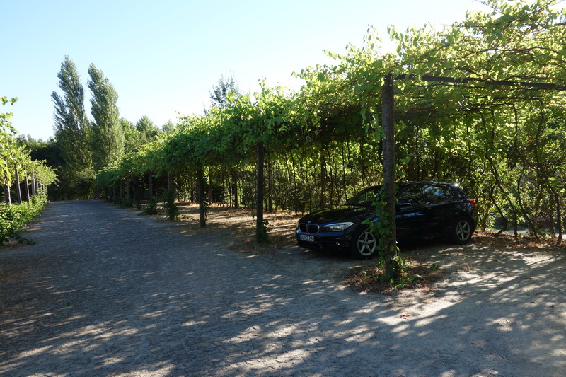 portugal-2016-0039.jpg