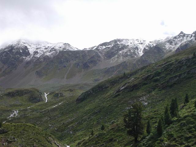 suisse01.jpg