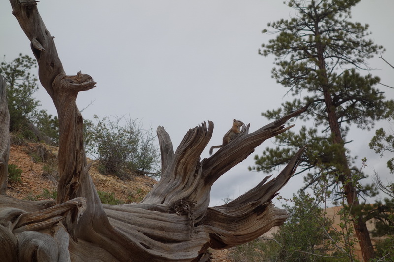 usa-2015-0734.jpg