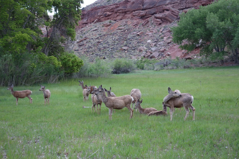 usa-2015-0823.jpg