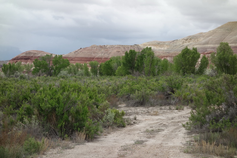 usa-2015-0867.jpg