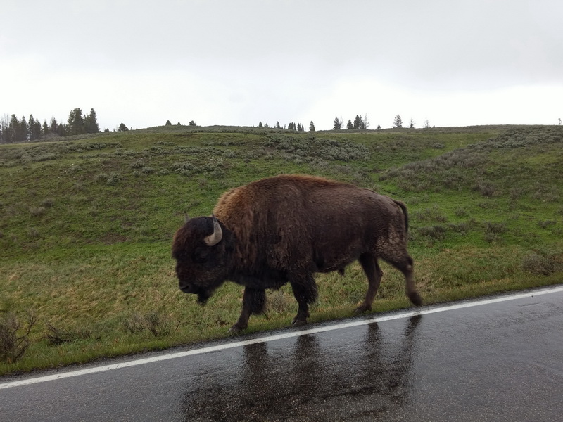 usa-2015-0998.jpg
