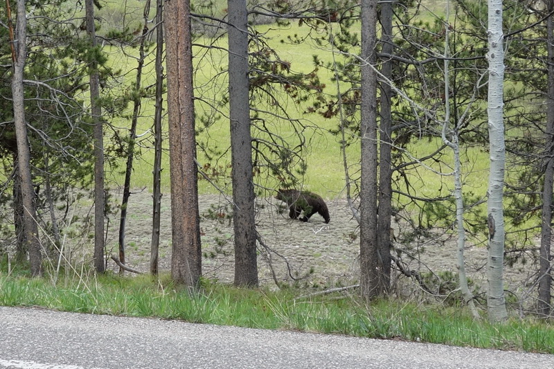 usa-2015-1006.jpg