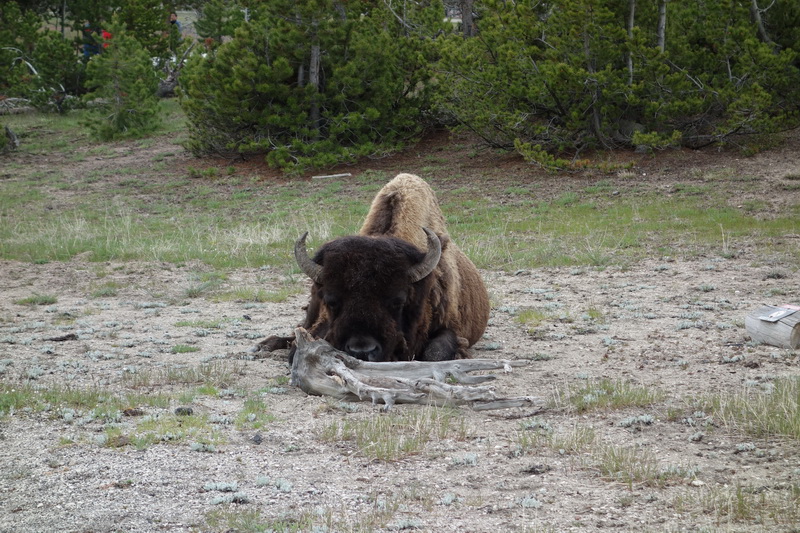 usa-2015-1114.jpg